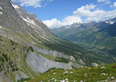 Panorama 7