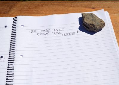 The Wave was here