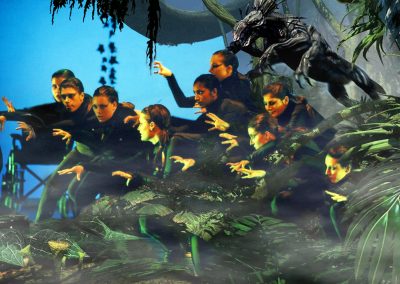 Novara Pro Monsters